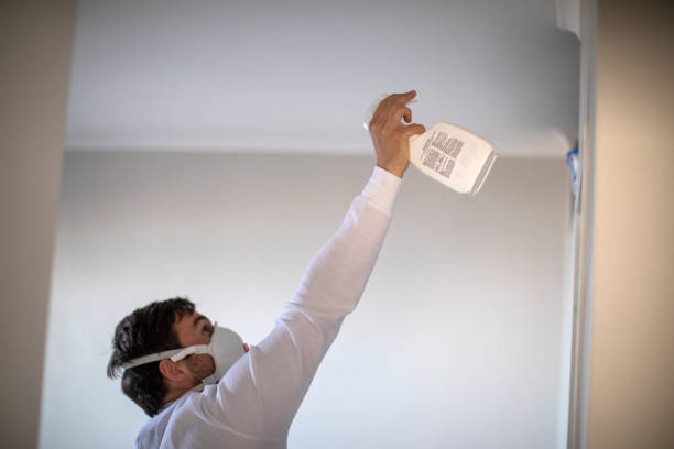 Trusted Hilltop, SC Mold Removal Experts