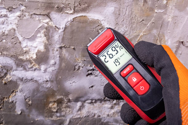 Best Emergency Mold Removal  in Hilltop, SC