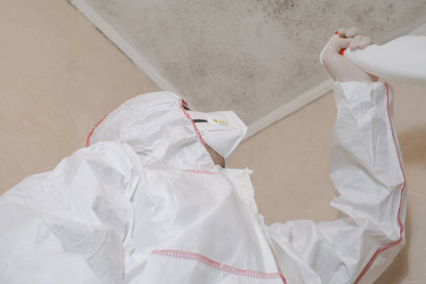 Best Mold Remediation  in Hilltop, SC