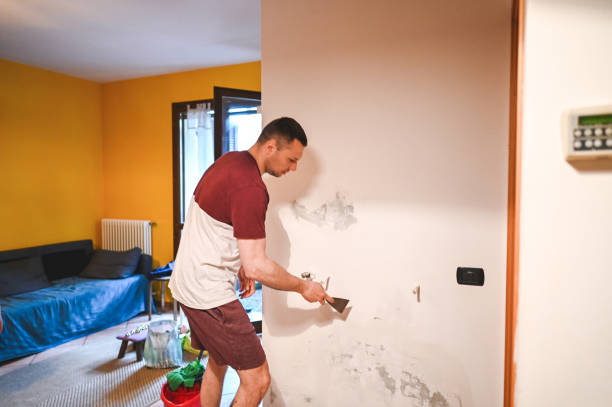 Best Mold Remediation Experts  in Hilltop, SC